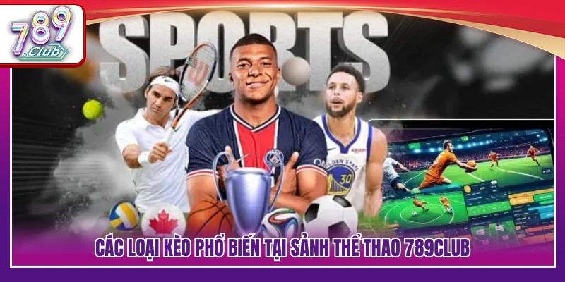 Thể Thao 789Club – Kèo Cược Đa Dạng Cập Nhật Liên Tục 3 Danh mục kèo cược được áp dụng rộng rãi